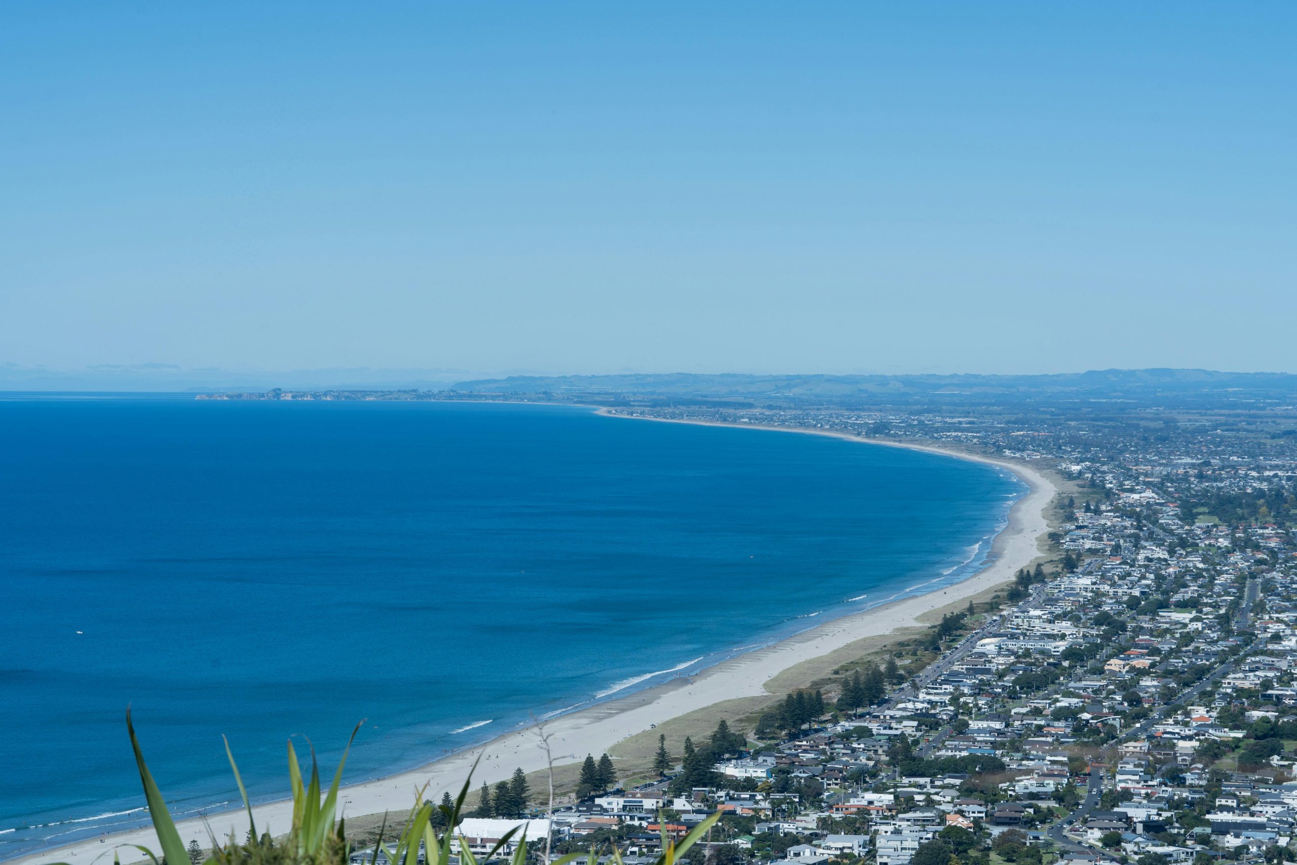Bay of Plenty