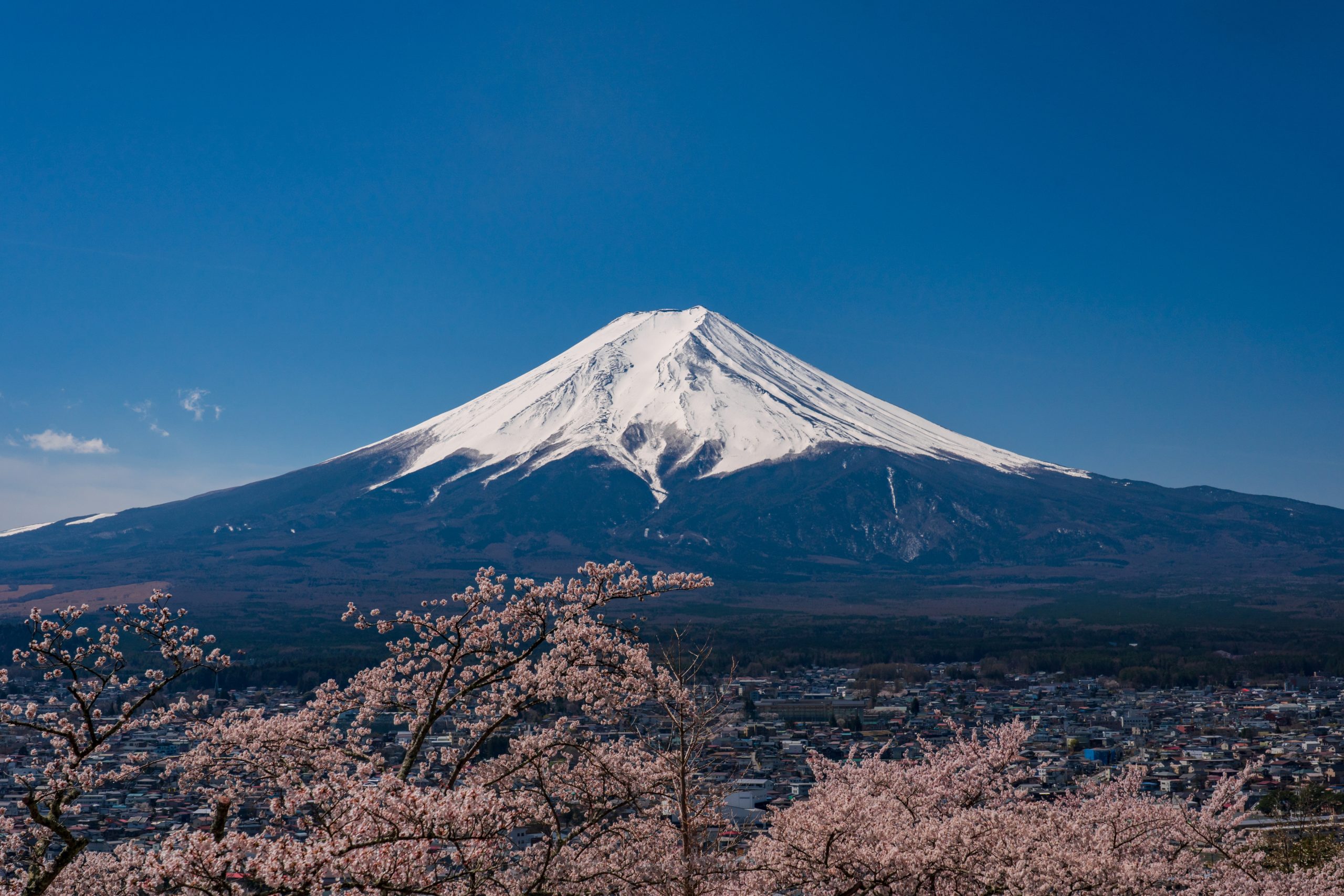 Shizuoka