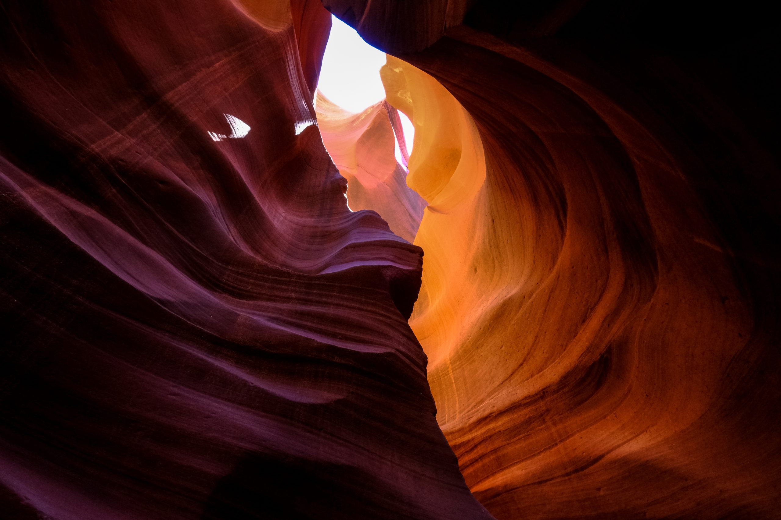 Arizona
