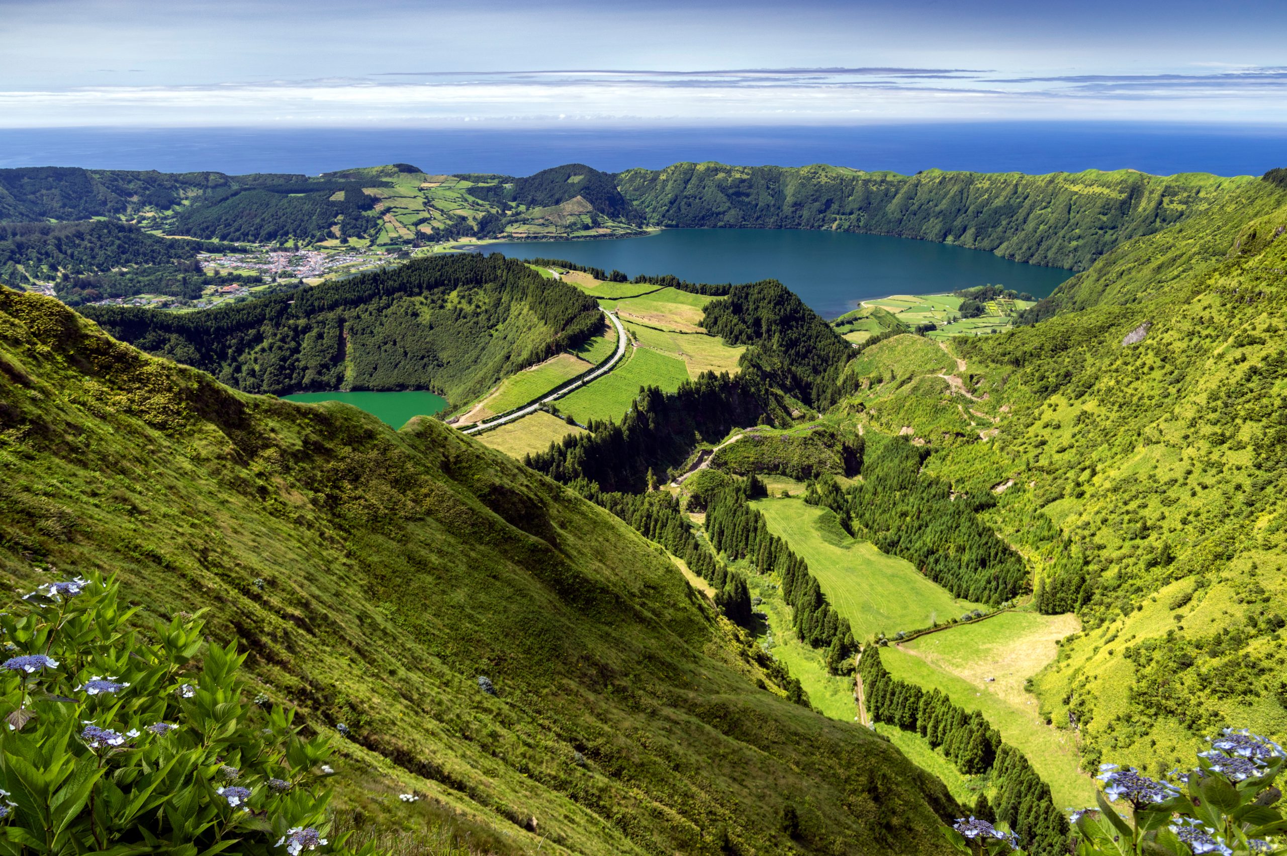 Waikato